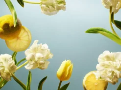 Car Air Freshener Refill><noscript><img width=