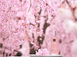 Dry Body Oil><noscript><img width=