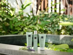 Foot Balm><noscript><img width=