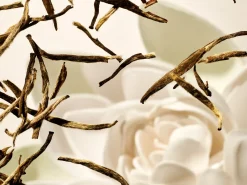 Scented Candle><noscript><img width=