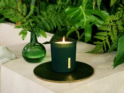 Scented Candle><noscript><img width=