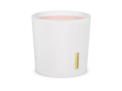 Scented Candle>Rituals New
