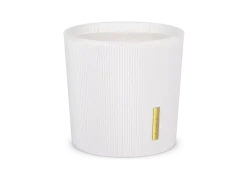 Scented Candle><noscript><img width=