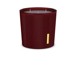 Scented Candle><noscript><img width=
