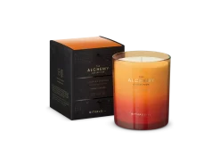 Scented Candle><noscript><img width=