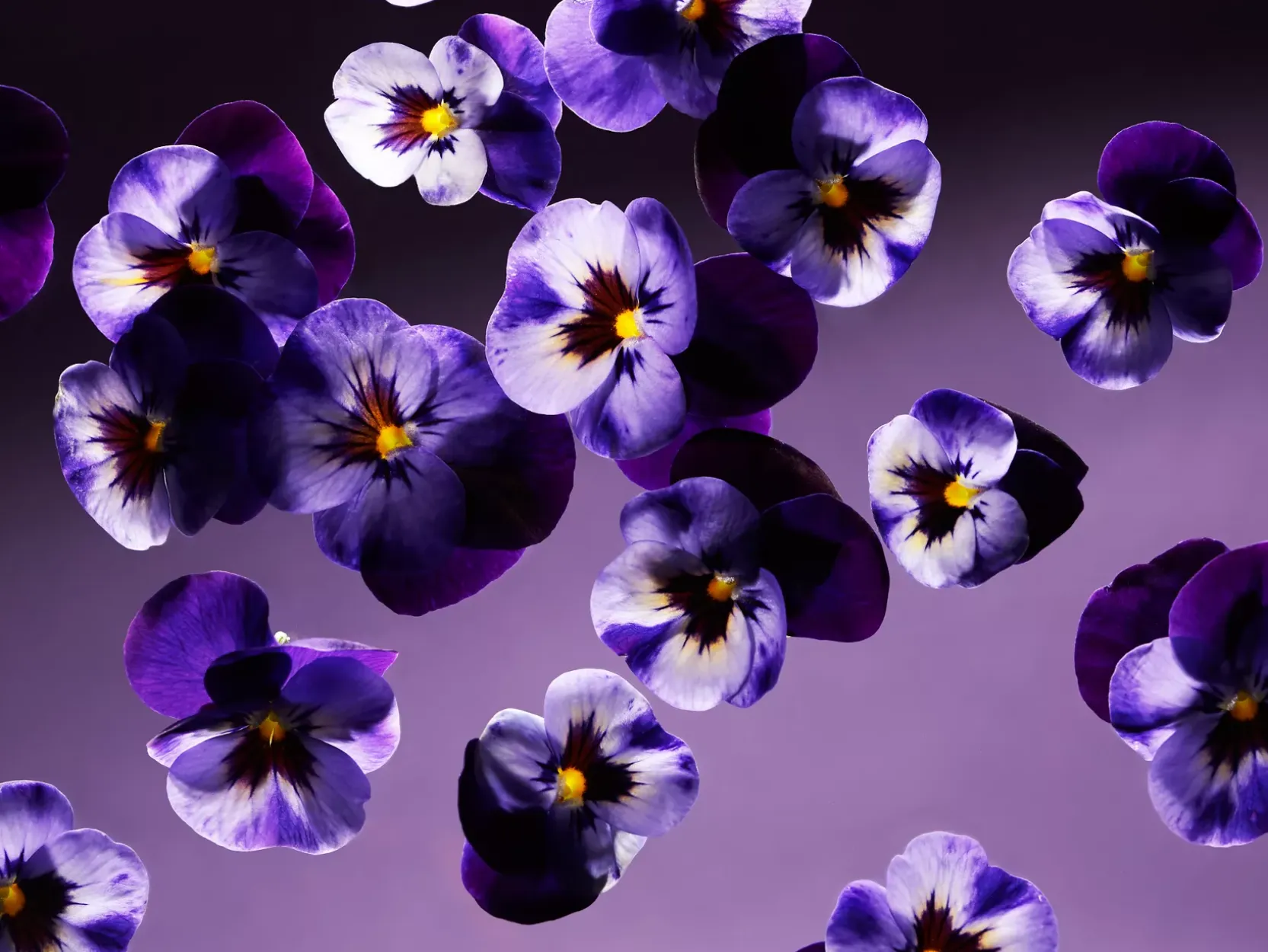 Smooth Violet Kitchen Hand Balm>Rituals Store