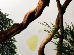 Travel - Foaming Shower Gel><noscript><img width=