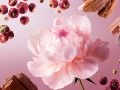 Travel - Nuit de l’Himalaya>Rituals Clearance