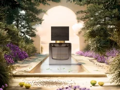 Travel - Voyage d'Ombre><noscript><img width=